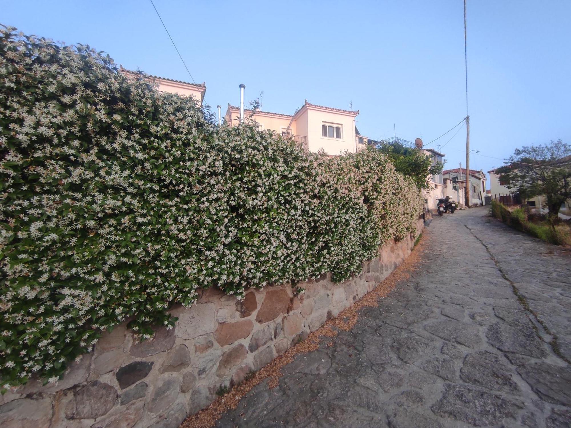 Case de vacanță House Petra (Lesbos)
